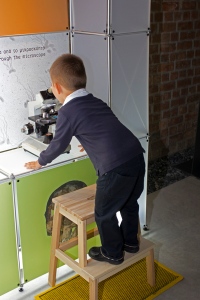 Photo of a young boy standing on a step and looking into a microscope
